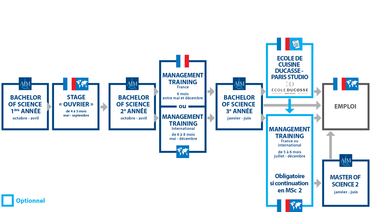 organigramme-stage-bs-2023