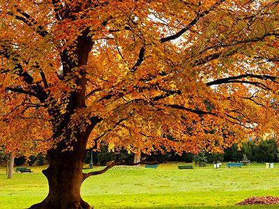 Parc Montsouris Paris automne