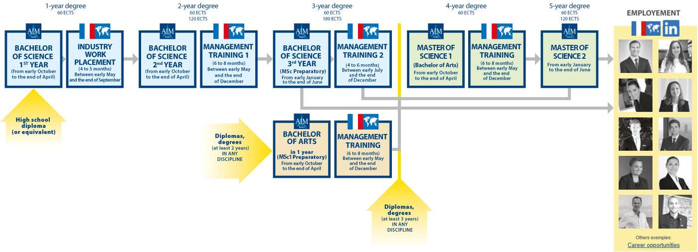 organization-of-studies-AIM